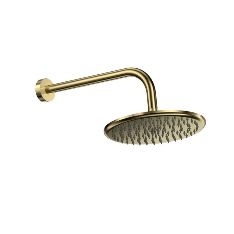 Cora Shower Arm & Head Round Brushed Brass