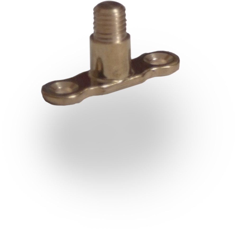 PM Brass Back Plate Male M10