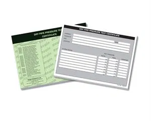 Regin  Dry Pipe Pressure Test Certificates