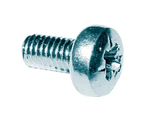 Regin  Pozi Pan Screw - M3 x 6 (30)