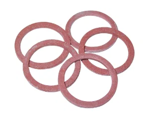 Regin  3/4" Cap & Lining Washer (20)