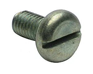 Regin  Slotted Screw - M5 x 10MT (20)