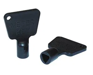 Regin  Meter Box Keys (2)