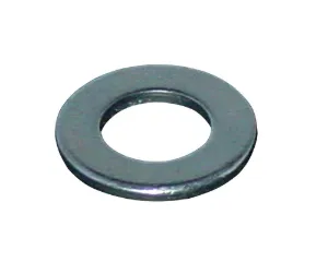 Regin  Flat Washers - M4 (30)