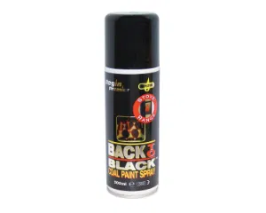 Regin  Back to Black' Coal Paint - 200ml