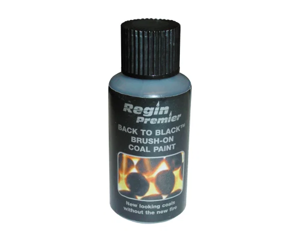 Regin  Back to Black' Brush-on Touch-up Bottle - 30ml