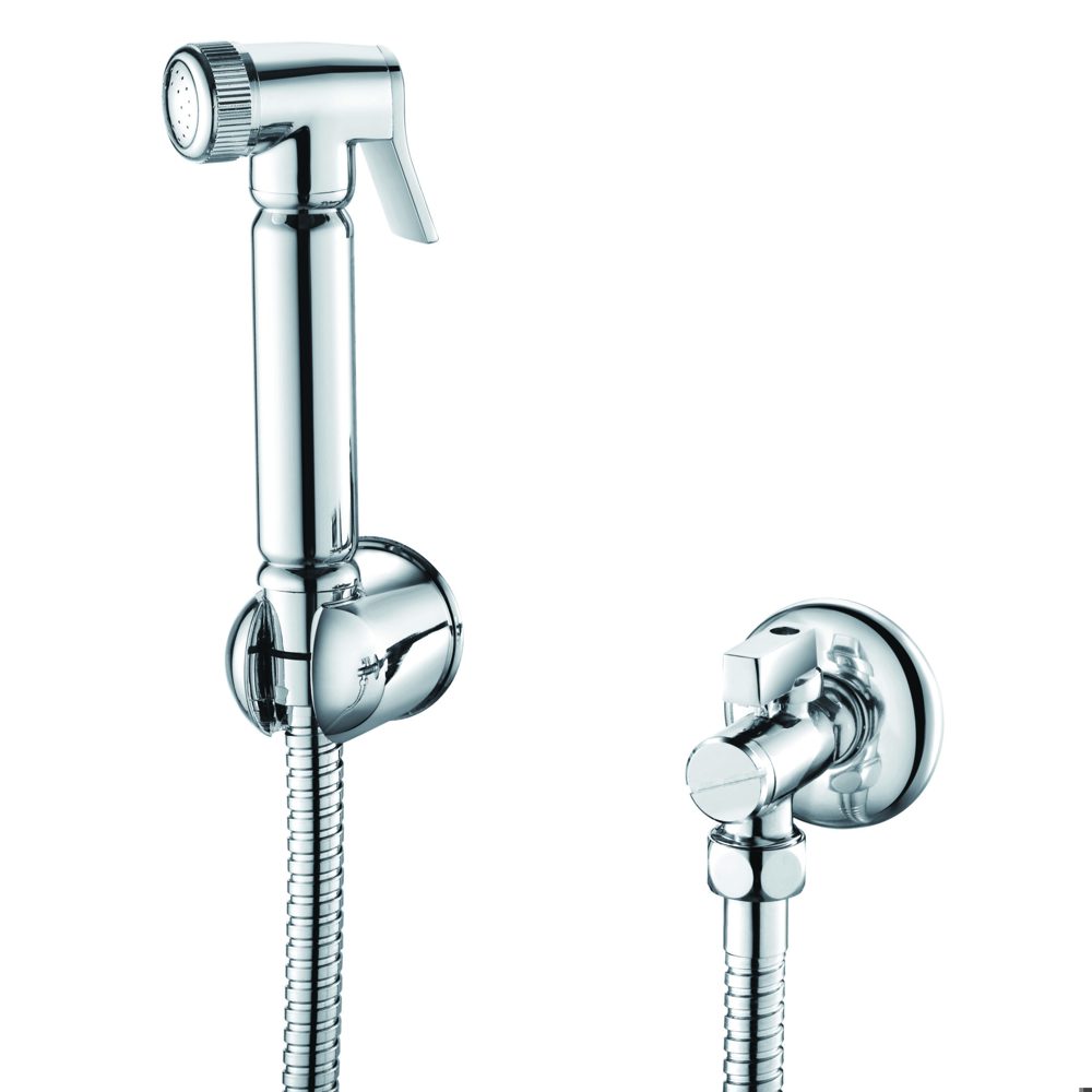 PM Douche Handset,Flexi,Holder Chrome